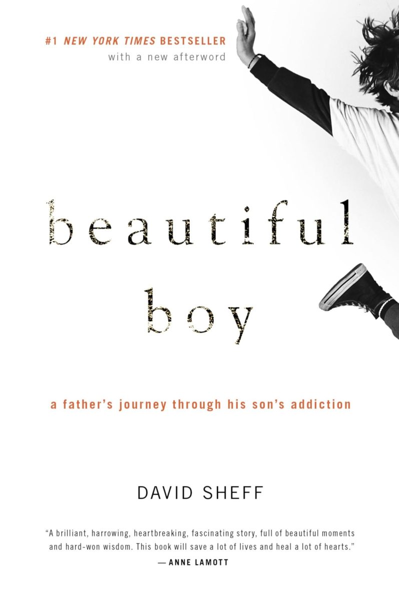 Cover of Beautiful Boy by David Sheff