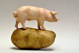 The Pig and Potato Podcast